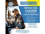 Chòfer de Transganado