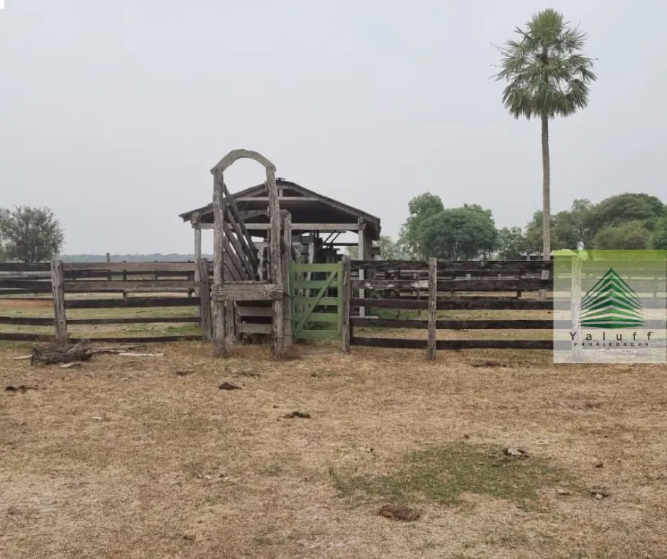 CAMPO EN ESTANZUELA VILLA OLIVA DE 276 HECTÁREAS A 3 KILÓMETROS DE LA RUTA ASFALTADA — foto 2