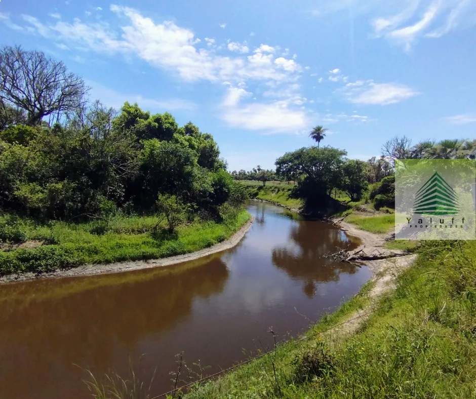 CAMPO EN ESTANZUELA VILLA OLIVA DE 276 HECTÁREAS A 3 KILÓMETROS DE LA RUTA ASFALTADA — foto 3