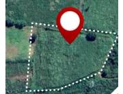 EN VENTA 1.400 HECTAREAS EN NUEVA ITALIA