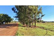 Terreno Agrícola/Ganadero en Natalio sobre Ruta - 16 Ha.