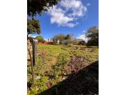 VENDO TERRENO EN SAN LORENOZO IDEAL P/INVERSIÓN