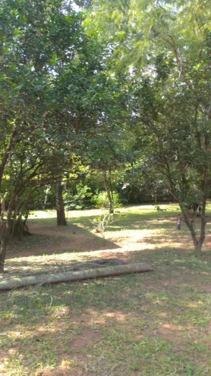 Anuncio 2850207 — foto 2
