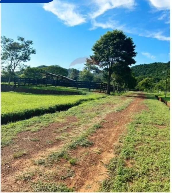 VENDO OFERTA 100 HECTÁREAS EN YBYCUI PACTIVIDAD GANADERA CCASA AMPLIA LISTA PHAB — foto 2