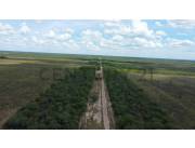 Venta de Estancia/Ganadera en Loma Plata, Boquerón