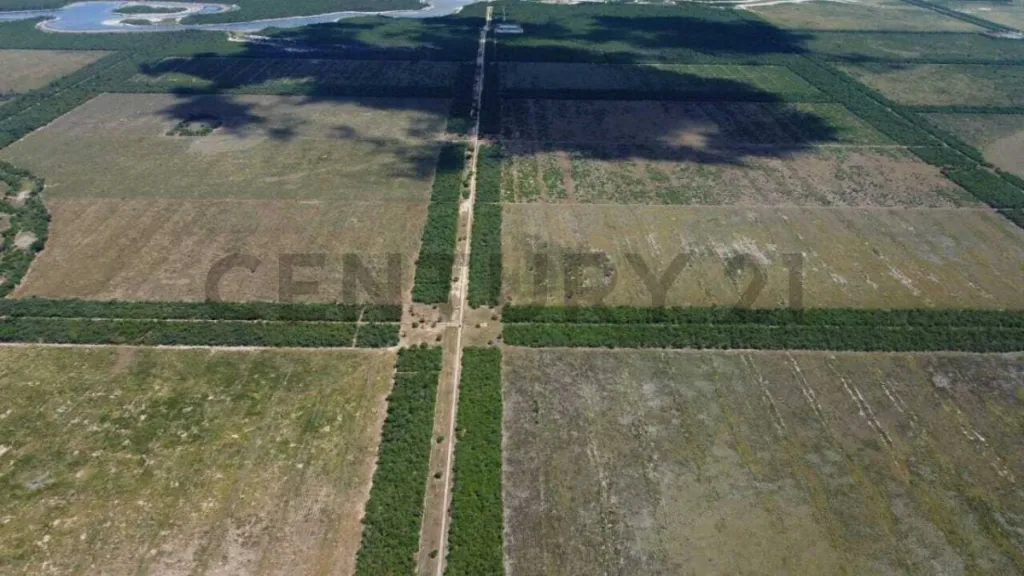 Venta de EstanciaGanadera en Loma Plata, Boquerón — foto 2
