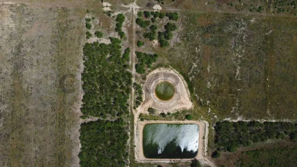 Venta de EstanciaGanadera en Loma Plata, Boquerón — foto 3