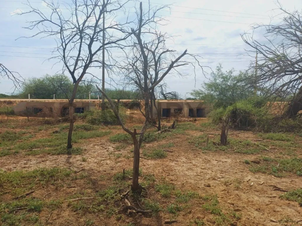 Venta de Propiedad Agrícola en Cruce Boquerón, Boquerón — foto 2