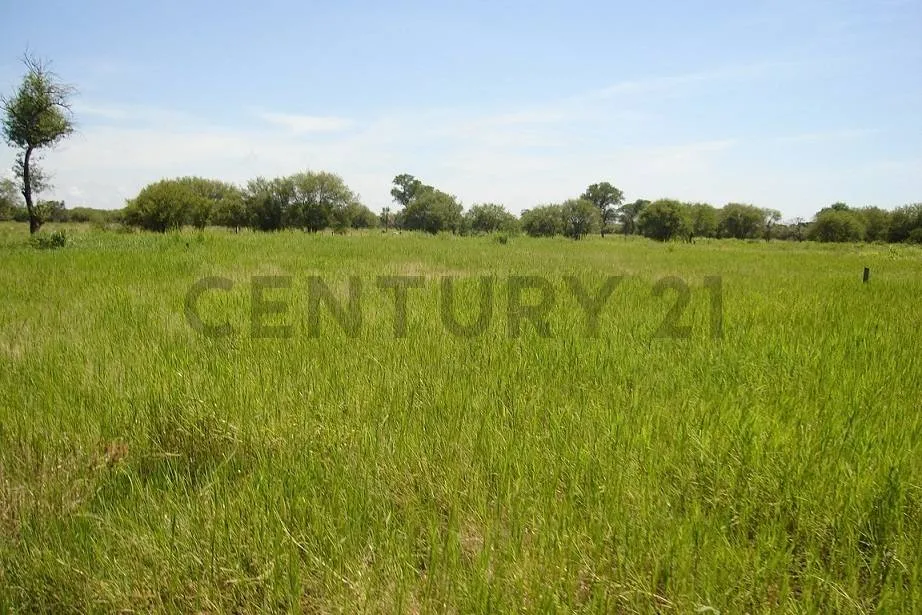 EN VENTA IMPONENTE PROPIEDAD DE 5562 HAS. EN FUERTE OLIMPO — foto 2