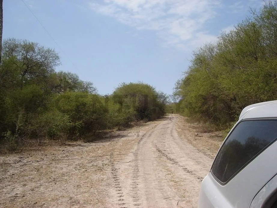 EN VENTA IMPONENTE PROPIEDAD DE 5562 HAS. EN FUERTE OLIMPO — foto 3