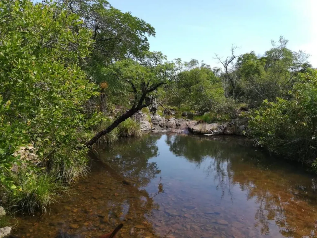 VENDO ESTANCIA EN CAAPUCU A TRANQUERA CERRADA — foto 2