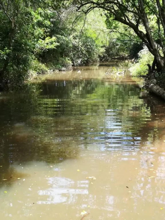 VENDO ESTANCIA EN CAAPUCU A TRANQUERA CERRADA — foto 3