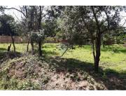 VENDO 3 TERRENO EN LUQUE junto o separados