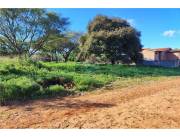 Terreno en Luque para inversión