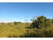 VENDO 54 HECTAREAS EN CORONEL BOGADO