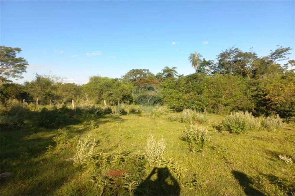 VENDO 54 HECTAREAS EN CORONEL BOGADO — foto 2