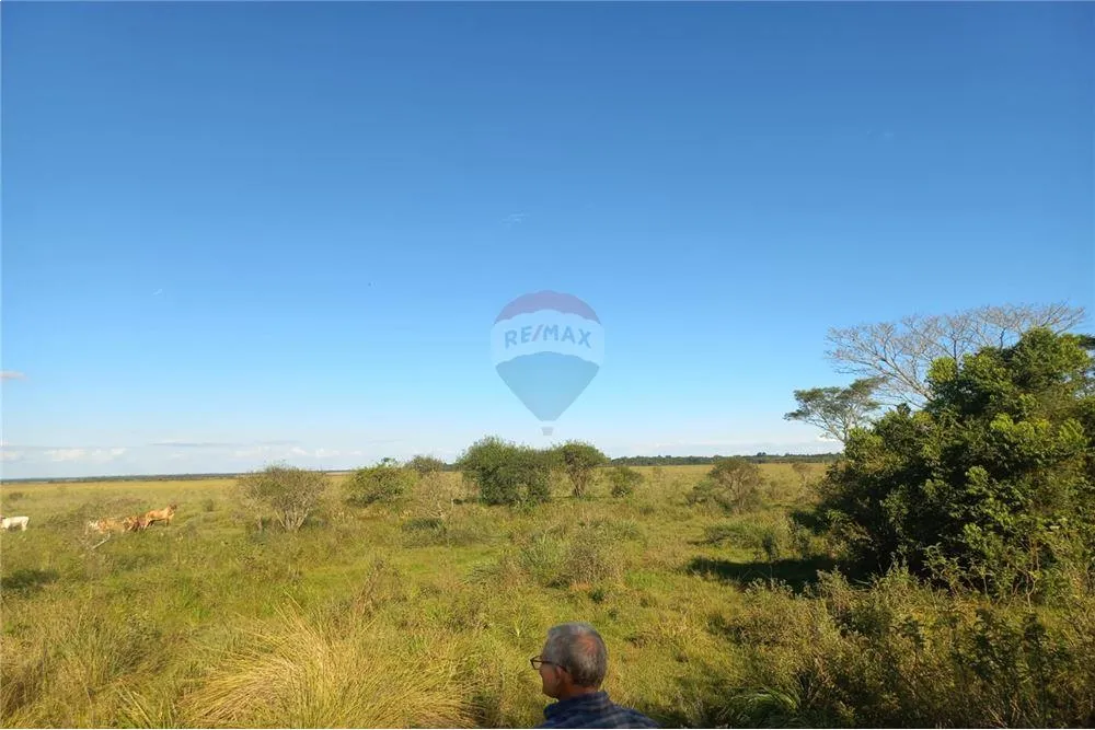 VENDO 54 HECTAREAS EN CORONEL BOGADO — foto 3
