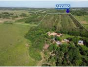 EN VENTA 203 Hectáreas 𝗣/𝗚𝗔𝗡𝗔𝗗𝗘𝗥𝗜𝗔 𝗘𝗡 𝗖𝗢𝗥𝗢𝗡𝗘𝗟 𝗢𝗩𝗜EDO