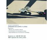 Operarios de Corte y Loteo