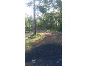 VENDO 5 TERRENOS JUNTOS EN SAN BERNARDINO COD 3953