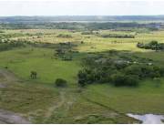 VENDO 124 HECTAREAS EN TOBATI