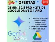GEMINI PRO X 1 AÑO ( 12 MESES )