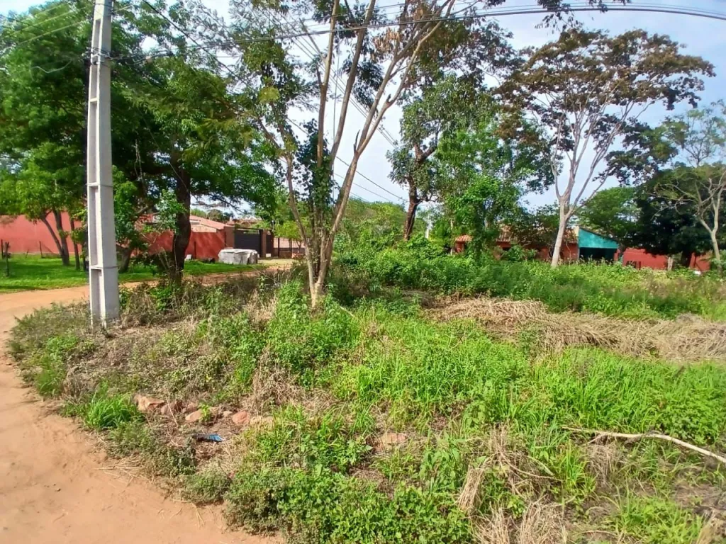 DOS TERRENOS EN LUQUE, ZARATE ISLA — foto 2
