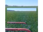 ULTIMA PARCELA GRANDE. TIERRA ROJA PREMIUN 750 HECTÁREAS MECANIZADAS EN PRODUCCIÓN. VENDO.