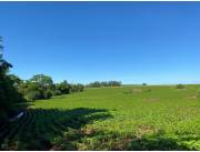 Terreno Mecanizado en Capitan Miranda - 8 Ha.