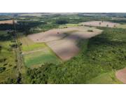 Campo Agrícola/Ganadero en Fram - 127 Ha.