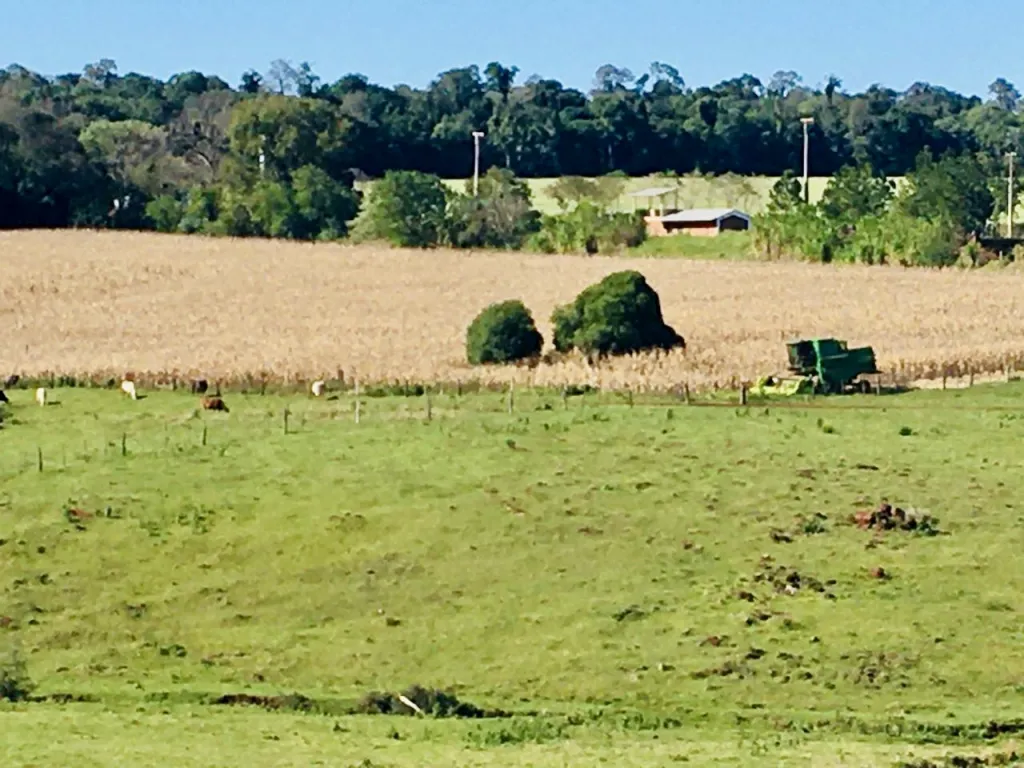 Terreno Rural en Bella Vista - 10 Ha. — foto 2