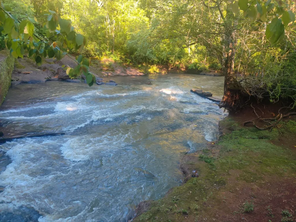 Campo en venta en Bella Vista, Asunción — foto 3
