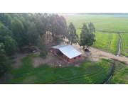 Vendo 641 hectareas cod 3653