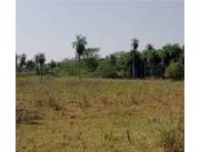 DEPARTAMENTO DE PARAGUARI- YAGUARON VENDO 21 HECTÁREAS ZONA ALTA APTO PARA GRANJA Y AFINE