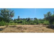 TRES TERRENOS JUNTOS EN VENTA EN REMANSO