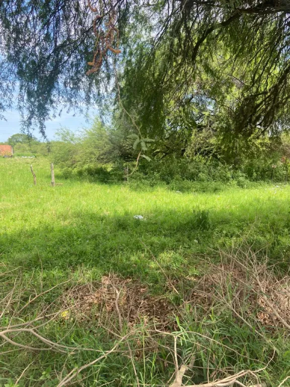 CHACOÍ, PROX. ADUANA S RUTA: 1.000 M2 A PRECIO DE OFERTA TOTAL, 350.000.000 GS. — foto 3
