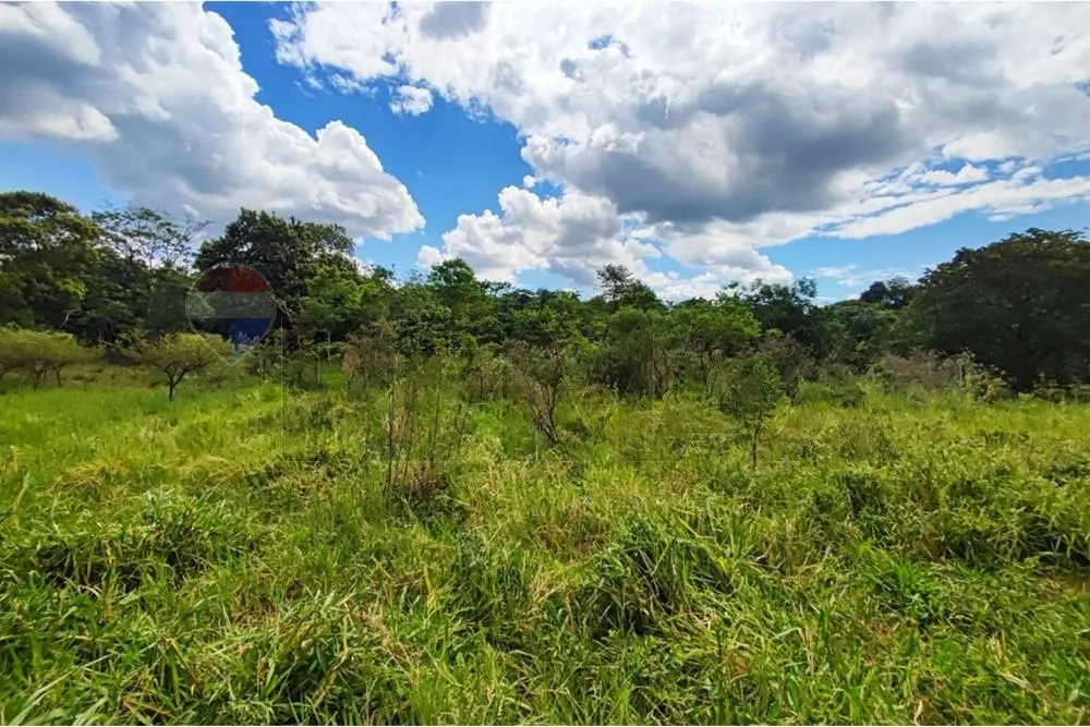 Terreno de 13650 m2 en Arroyos Y Esteros — foto 3