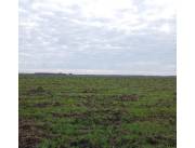 Campo Agrícola/Ganadero en Yuty - 600 Ha.