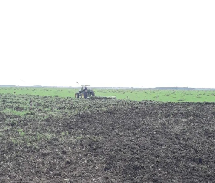 Campo AgrícolaGanadero en Yuty - 600 Ha. — foto 2