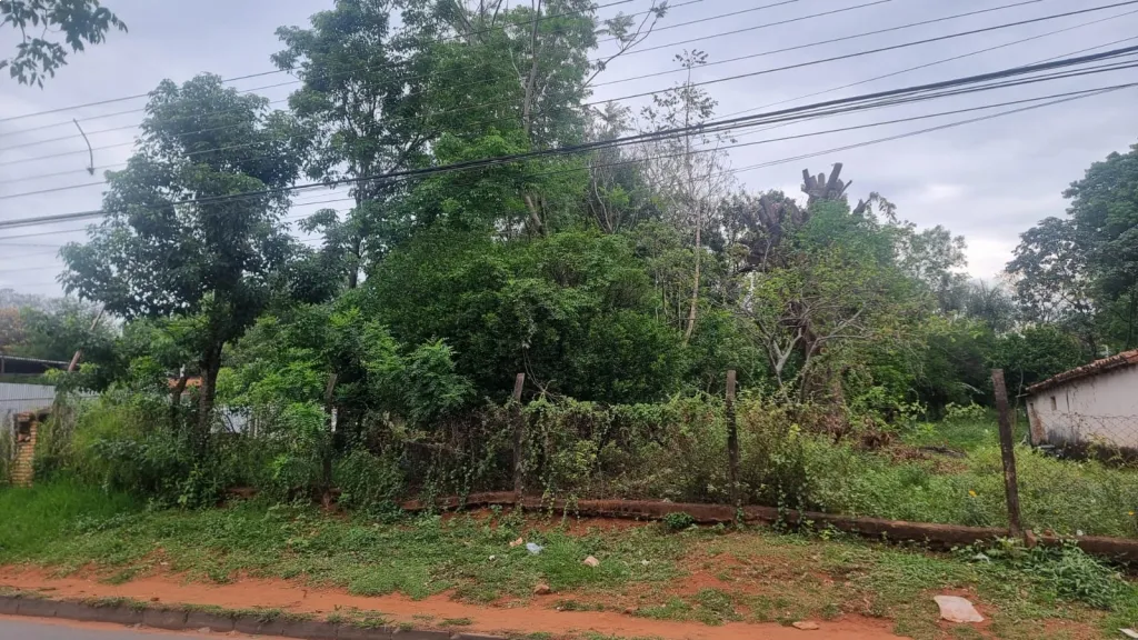 Vendo terreno de 1500m2 sobre Avda. Caaguazú Ñemby_ G 880.000.000 — foto 3