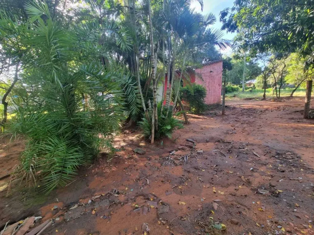 TERRENO EN ESQUINA SOBRE WENCESLAO MARTINEZ-LUQUE — foto 2