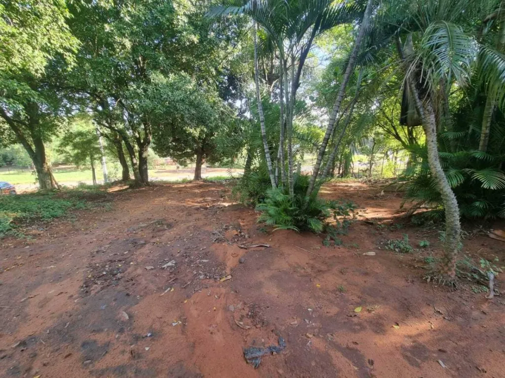 TERRENO EN ESQUINA SOBRE WENCESLAO MARTINEZ-LUQUE — foto 3