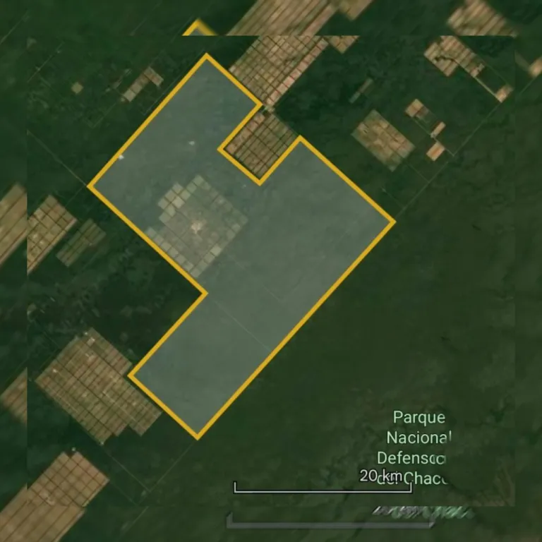 Para Proyecto Sostenible o Conservación Activa VENDO c85% de Bosque 🌳 nativo. 62.500 ha. — foto 2