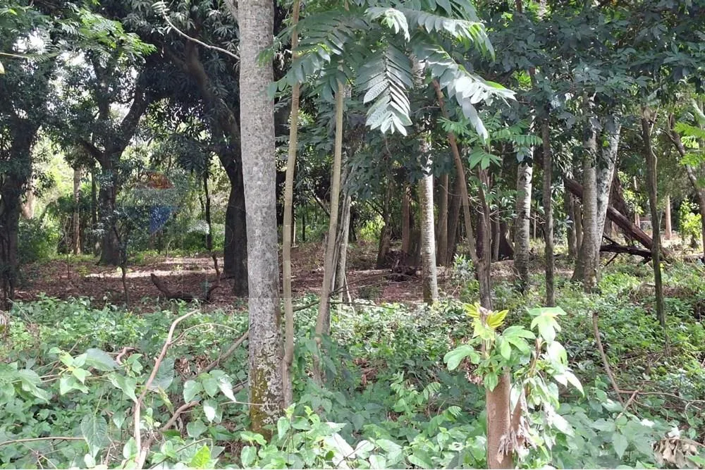 "Aprovechá Este Terreno Único en San Bernardino" — foto 2