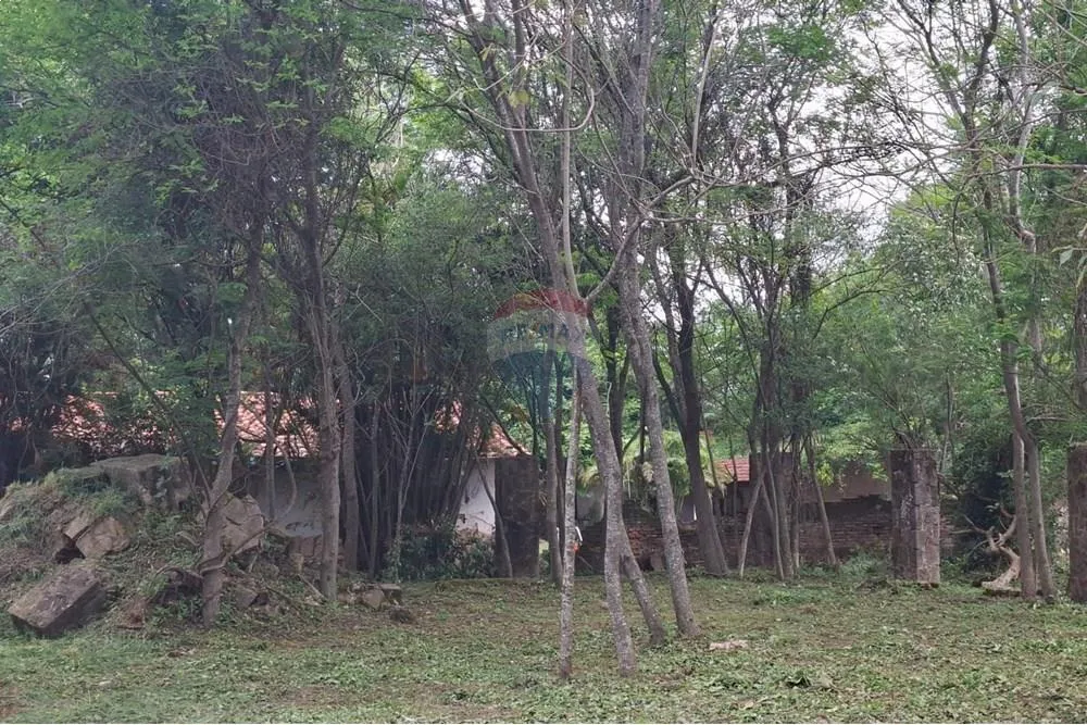 ¡Terreno en San Bernardino: Ensueños! — foto 2