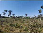 VENDO 3.7 Hectáreas en NUEVA COLOMBIA, Cordillera