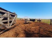 VENDO GRANJA FORMADA EN COLONIA NUEVA FORTUNA