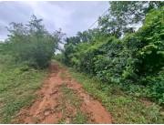 1.8 has en Tarumandy Luque