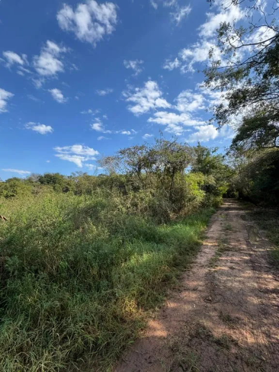 Vendo Terreno en Surubii — foto 3
