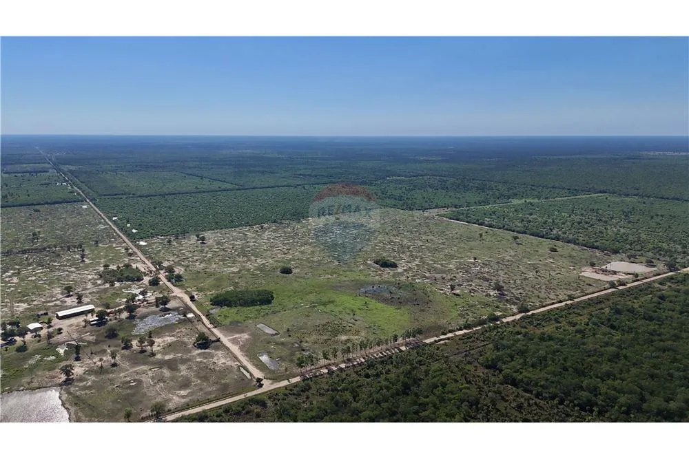Gran Campo Ganadero en Producción – 5.000 Hectáreas en Presidente Hayes 🐄🌾 — foto 3